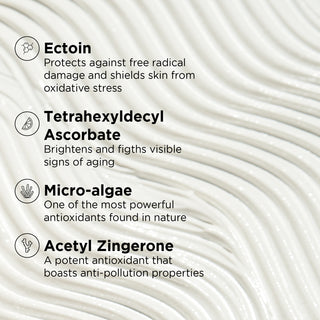 Image | Daily Prevention Ultra Defense Moisturizer SPF50